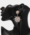 Zinc Alloy Star Shape Dangle Earrings